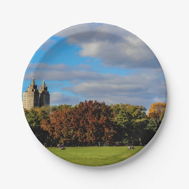 Central Park Landscape Photo Paper Plate (Front)