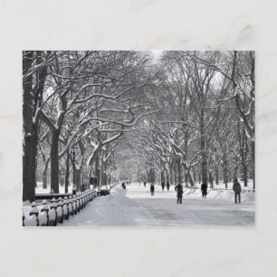 Central Park Mall B&W Postcard