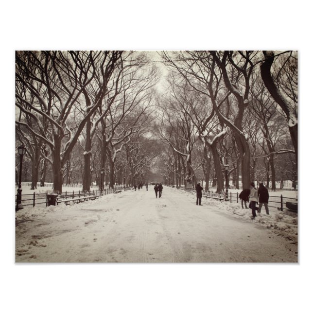 Central Park Mall Photo Print (Front)