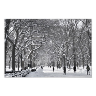 Central Park Mall Winter Scene Photo Print