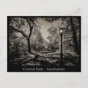 Central Park Manhattan in Black and White Postcard