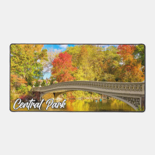 Central Park, Manhattan, New York, USA Desk Mat