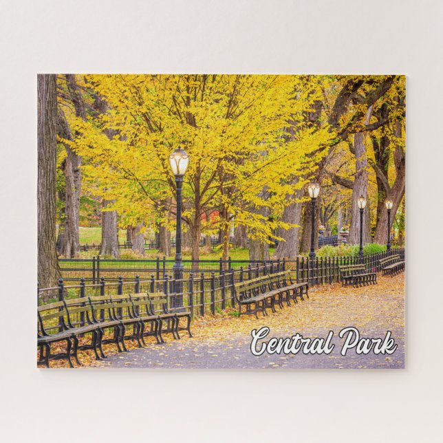 Central Park, Manhattan, New York, USA Jigsaw Puzzle (Horizontal)