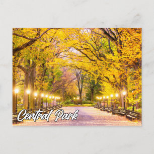 Central Park, Manhattan, New York, USA Postcard