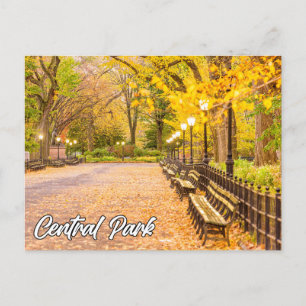 Central Park, Manhattan, New York, USA Postcard
