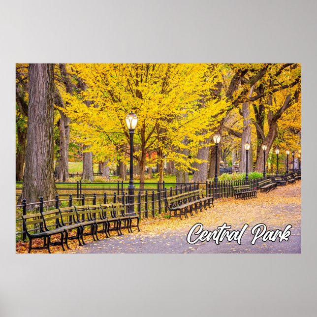 Central Park, Manhattan, New York, USA Poster (Front)