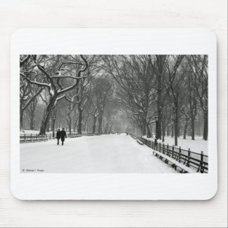 Central Park Mouse Mat