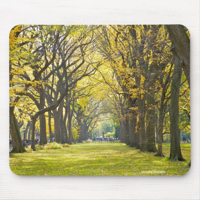 Central Park Mousepad (Front)