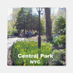 Central Park, New York City Magnet