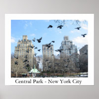 Central Park - New York City