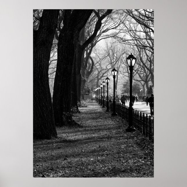 Central Park, New York City Poster (Front)