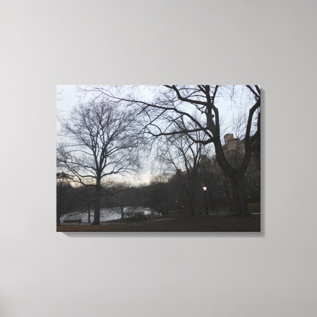 Central Park, New York City, USA Canvas Print (Front)