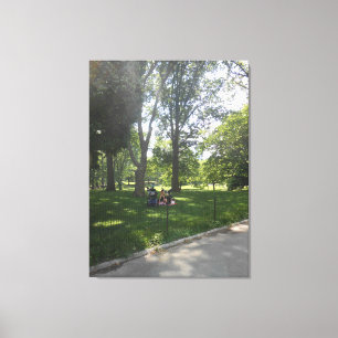 Central Park, New York City, USA Canvas Print