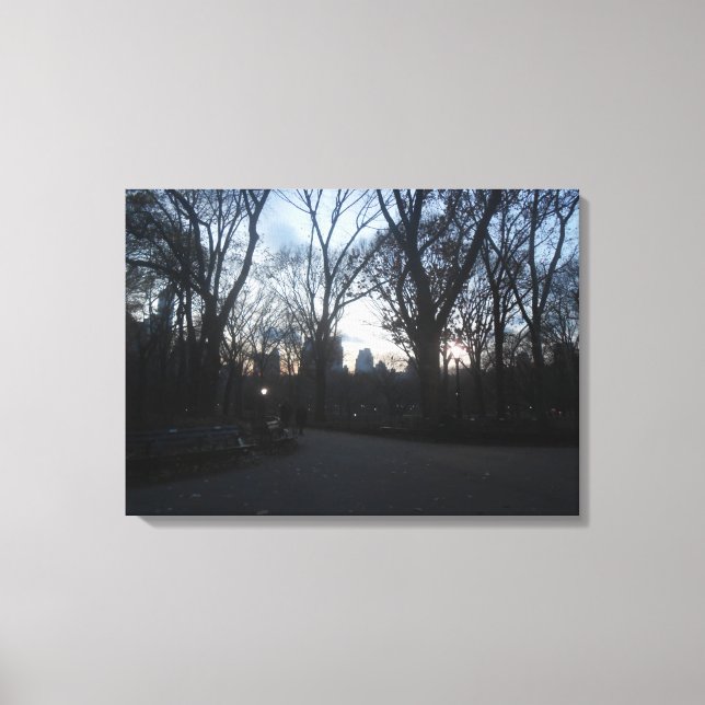 Central Park, New York City, USA Canvas Print (Front)