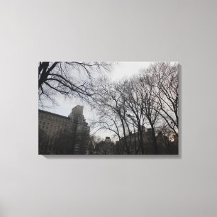 Central Park, New York City, USA Canvas Print