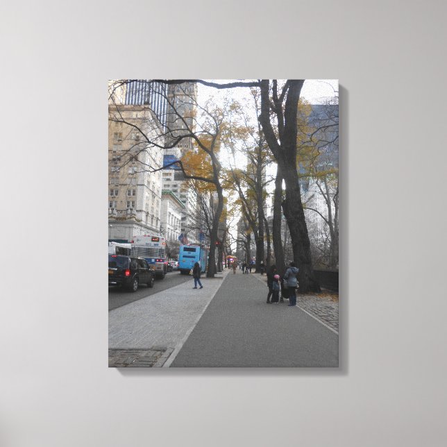 Central Park, New York City, USA Canvas Print (Front)