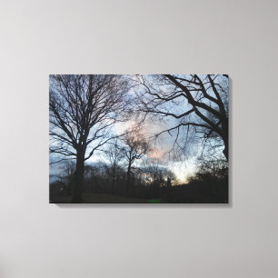 Central Park, New York City, USA Canvas Print