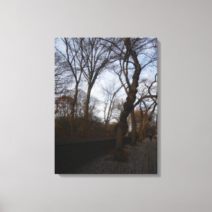 Central Park, New York City, USA Canvas Print