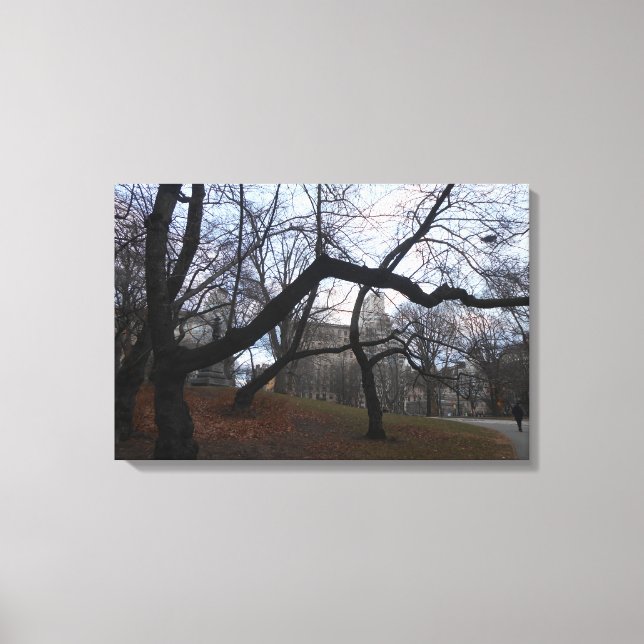 Central Park, New York City, USA Canvas Print (Front)