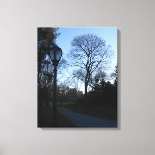 Central Park, New York City, USA Canvas Print