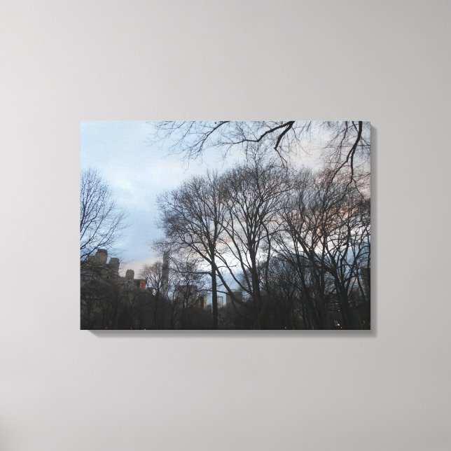 Central Park, New York City, USA Canvas Print (Front)
