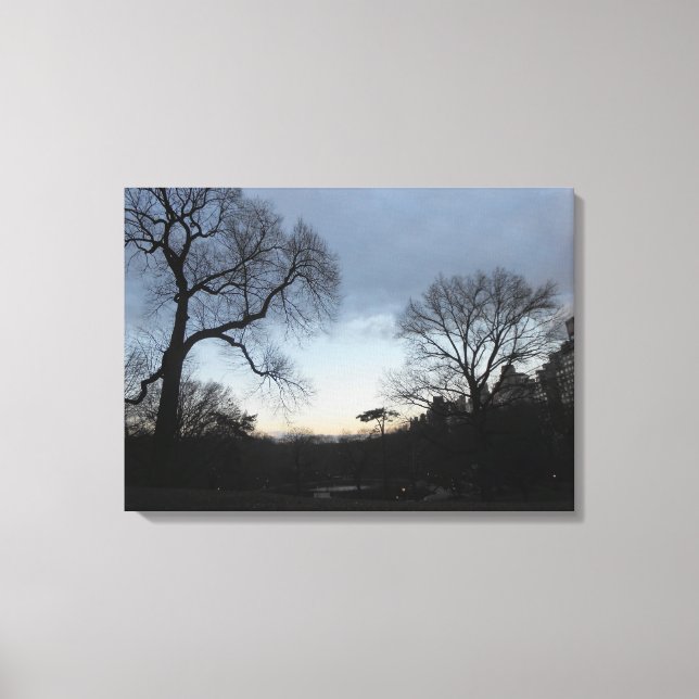 Central Park, New York City, USA Canvas Print (Front)