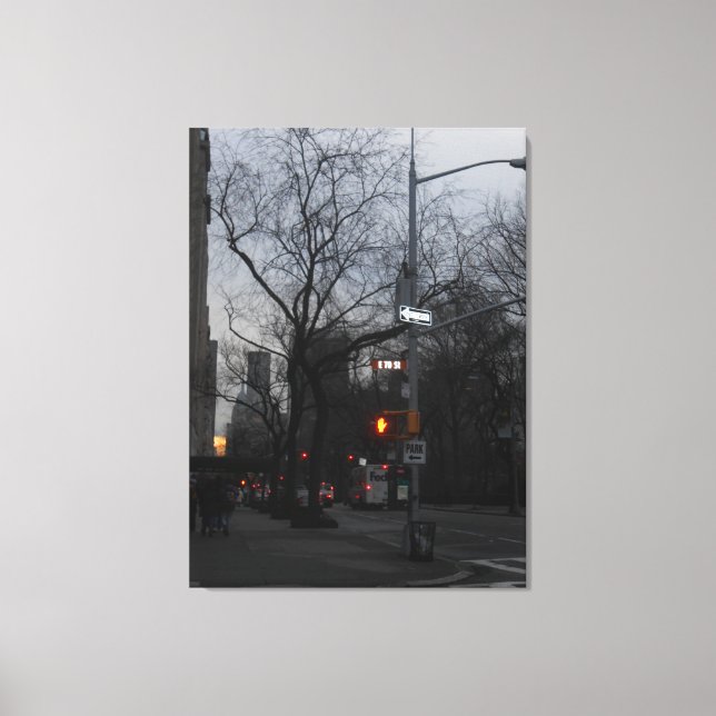 Central Park, New York City, USA Canvas Print (Front)