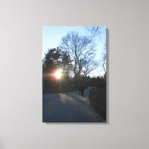 Central Park, New York City, USA Canvas Print