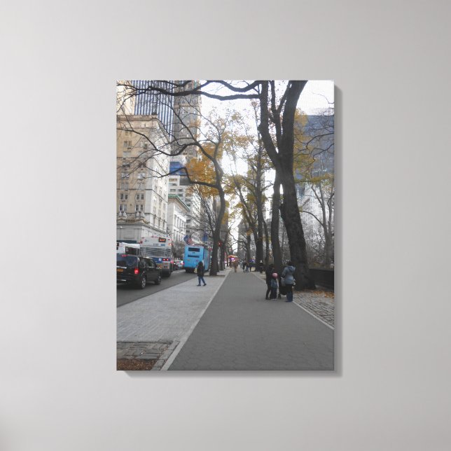 Central Park, New York City, USA Canvas Print (Front)