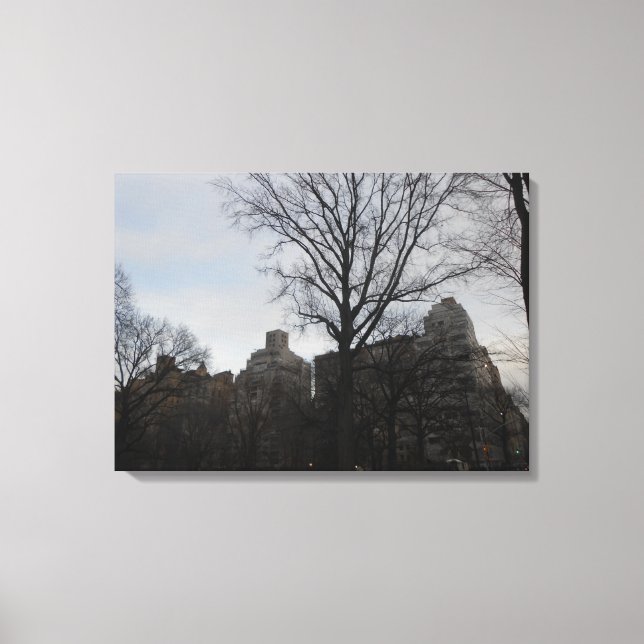 Central Park, New York City, USA Canvas Print (Front)