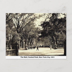 Central Park, New York City, Vintage Postcard