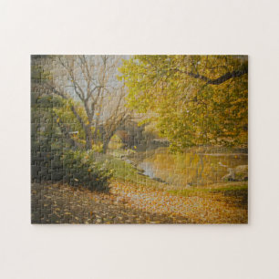 Central Park New York. Jigsaw Puzzle