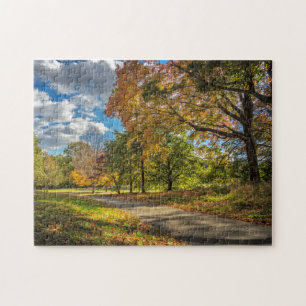 Central Park New York Jigsaw Puzzle
