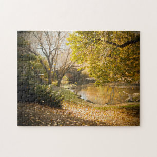 Central Park New York. Jigsaw Puzzle