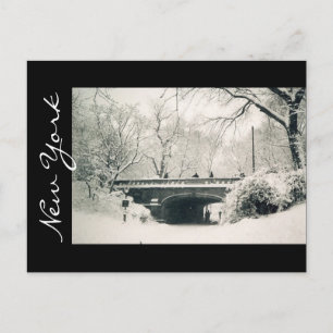 central park new york postcard