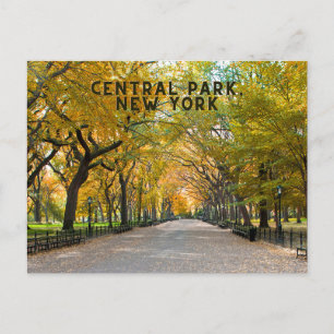 Central Park, New York Postcard Souvenir