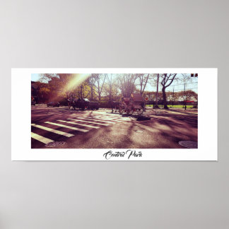 CENTRAL PARK NEW YORK POSTER
