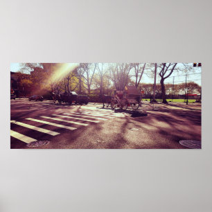 CENTRAL PARK NEW YORK  POSTER