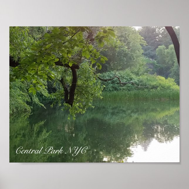 Central Park New York Turtle Pond in Summer Poster (Front)