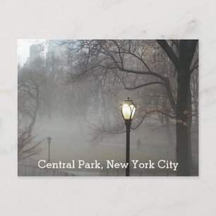 Central Park New York Winter Fog Scenic View Postcard