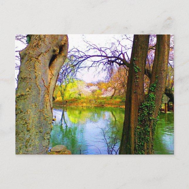 Central Park, NY Postcard (Front)