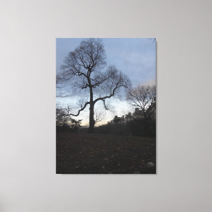 Central Park. NYC Canvas Print