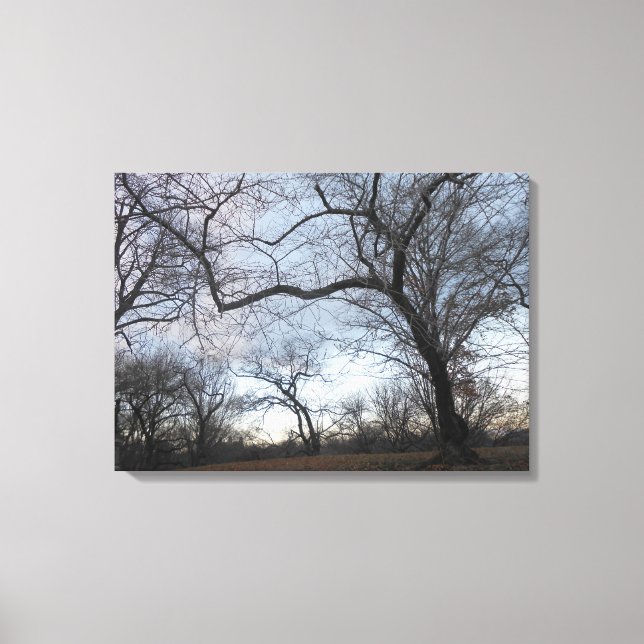 Central Park. NYC Canvas Print (Front)