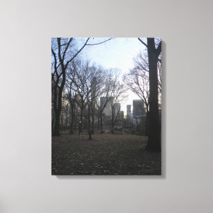 Central Park. NYC Canvas Print
