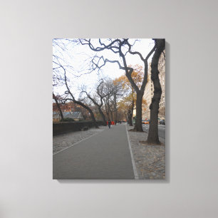 Central Park. NYC Canvas Print