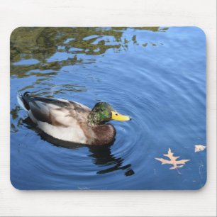 Central Park NYC Conservatory Water Mallard Duck Mouse Mat