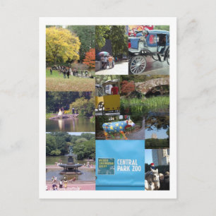 Central Park - NYC Postcard