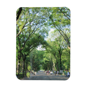 Central Park: Poet's Walk in the Summer Magnet