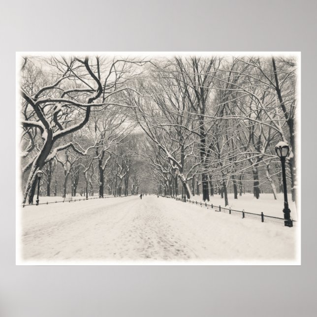 Central Park - Poet's Walk - New York City Poster (Front)