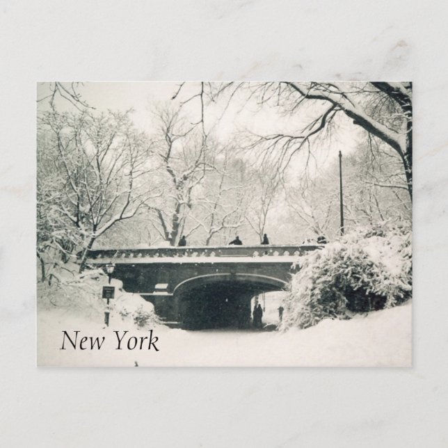 central park postcard (Front)